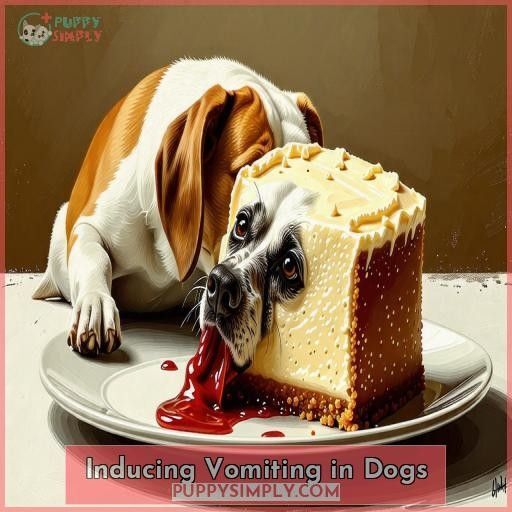 Inducing Vomiting in Dogs Inducing Vomiting in Dogs