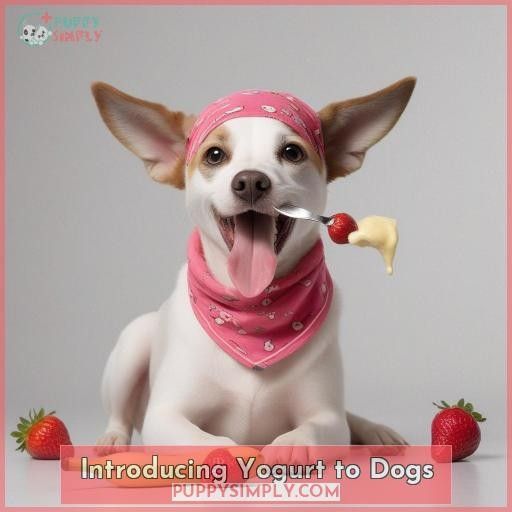 Introducing Yogurt to Dogs