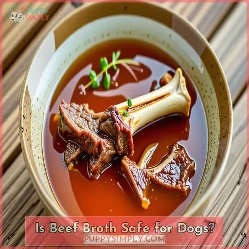 Is Beef Broth Safe for Dogs
