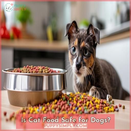 Is Cat Food Safe for Dogs