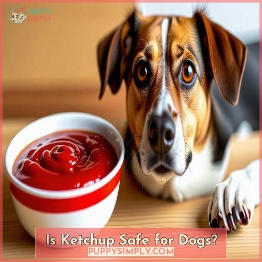 Is Ketchup Safe for Dogs