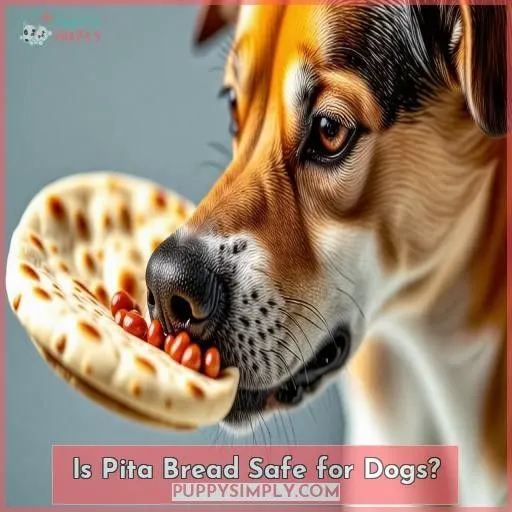 Is Pita Bread Safe for Dogs