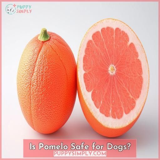 Is Pomelo Safe for Dogs