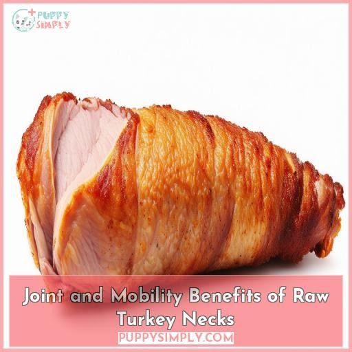 Joint and Mobility Benefits of Raw Turkey Necks