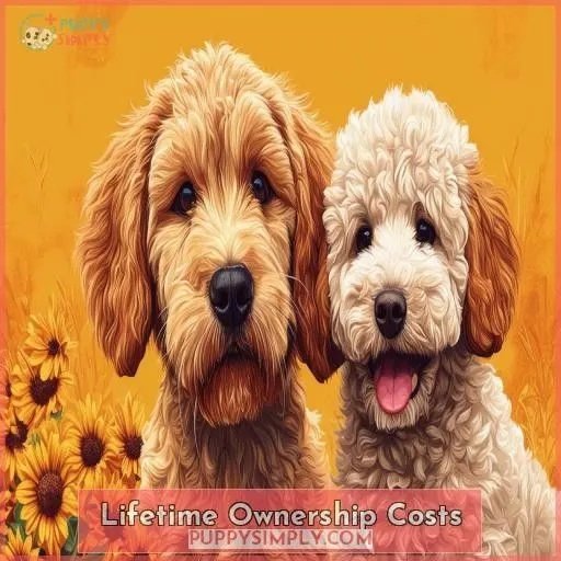 Lifetime Ownership Costs