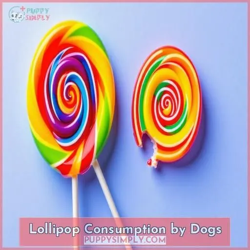 Lollipop Consumption by Dogs