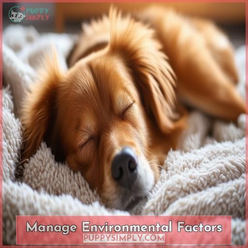 Manage Environmental Factors