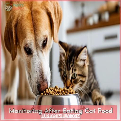 Monitoring After Eating Cat Food