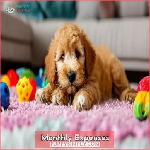 Monthly Expenses