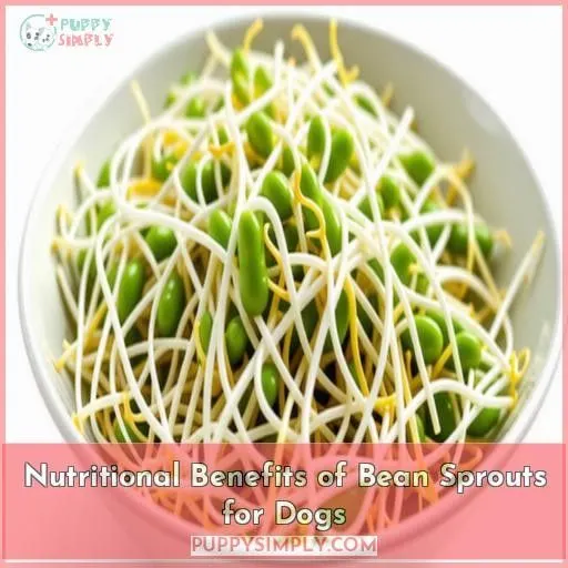 Nutritional Benefits of Bean Sprouts for Dogs