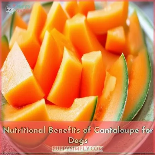 Nutritional Benefits of Cantaloupe for Dogs