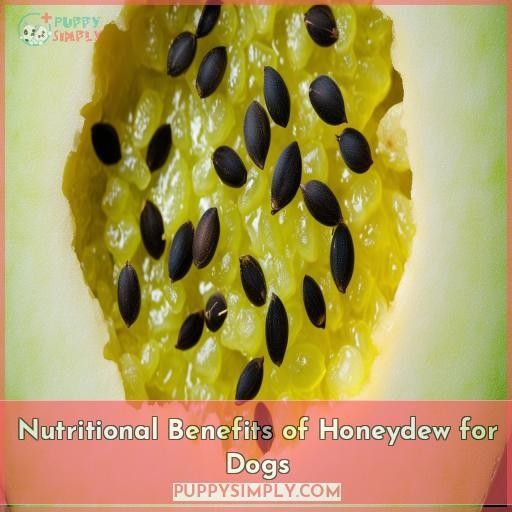 Nutritional Benefits of Honeydew for Dogs