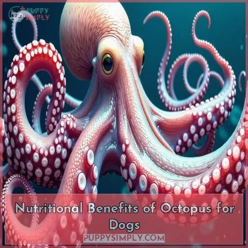 Nutritional Benefits of Octopus for Dogs
