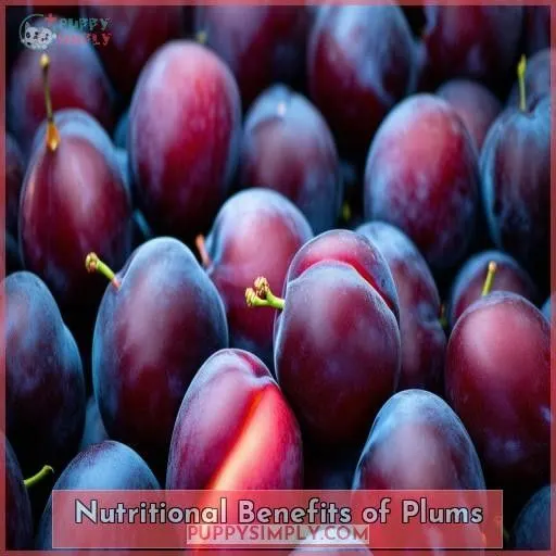 Nutritional Benefits of Plums