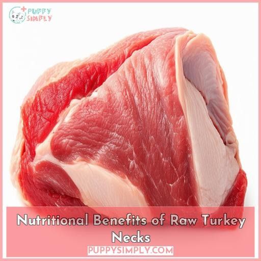 Nutritional Benefits of Raw Turkey Necks