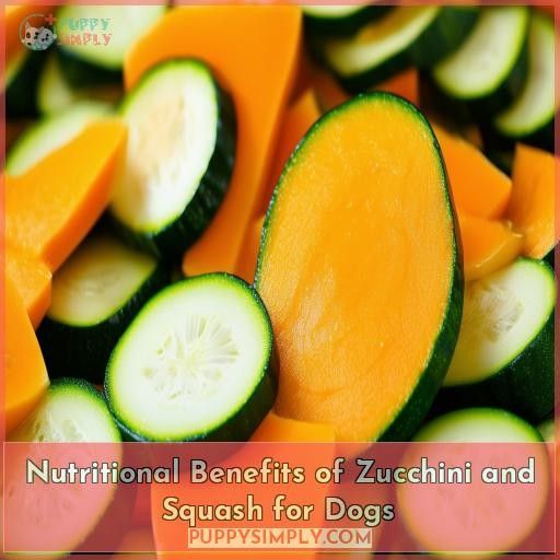 Nutritional Benefits of Zucchini and Squash for Dogs