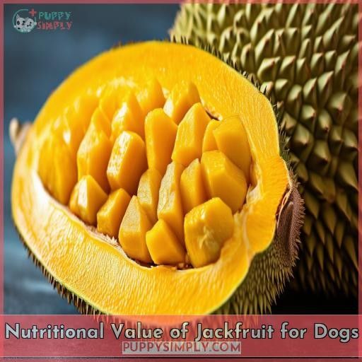 Nutritional Value of Jackfruit for Dogs