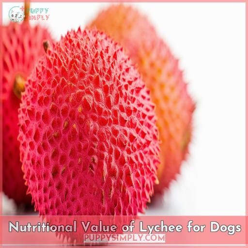 Nutritional Value of Lychee for Dogs