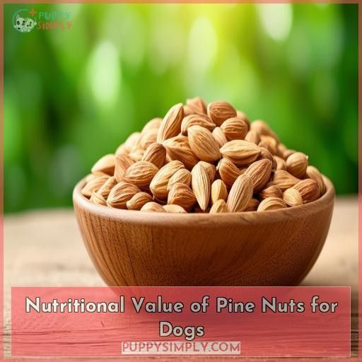 Nutritional Value of Pine Nuts for Dogs