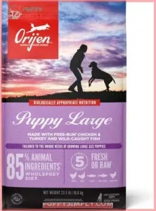 ORIJEN Puppy Large Grain-Free Dry
