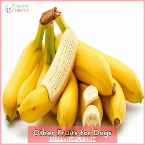 Other Fruits for Dogs