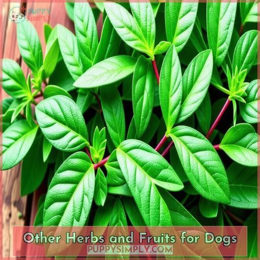 Other Herbs and Fruits for Dogs