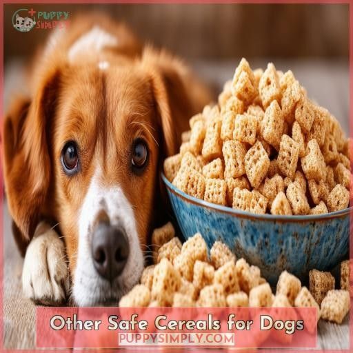 Other Safe Cereals for Dogs