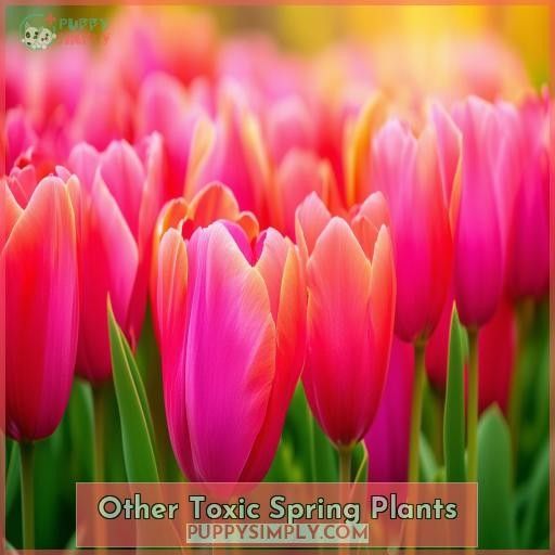 Other Toxic Spring Plants