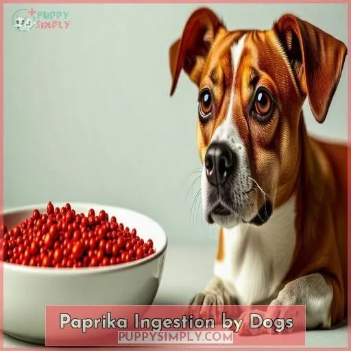 Paprika Ingestion by Dogs