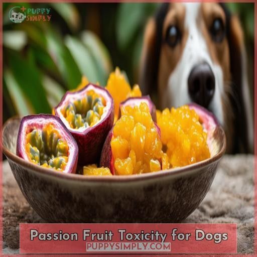Can Dogs Eat Passion Fruit? A Comprehensive Guide on Safety and Risks