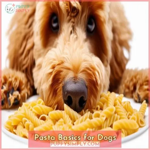Pasta Basics for Dogs