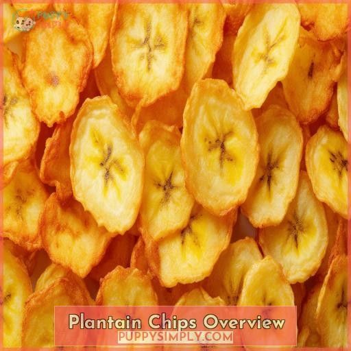 Plantain Chips Overview