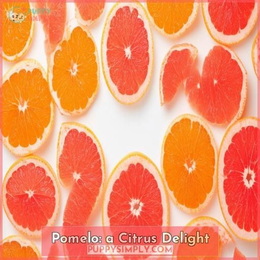 Pomelo: a Citrus Delight