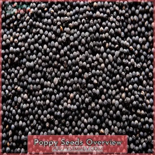 Poppy Seeds Overview