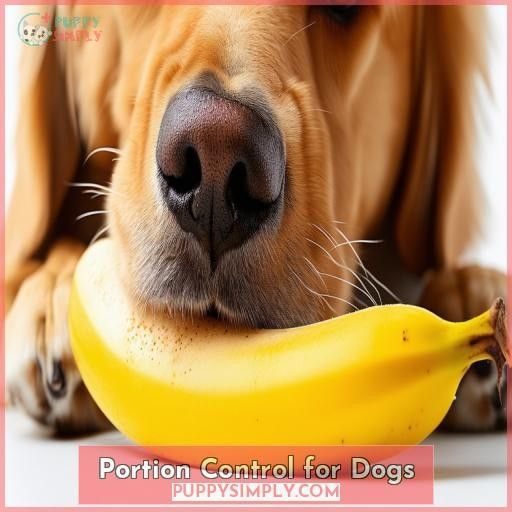 Portion Control for Dogs