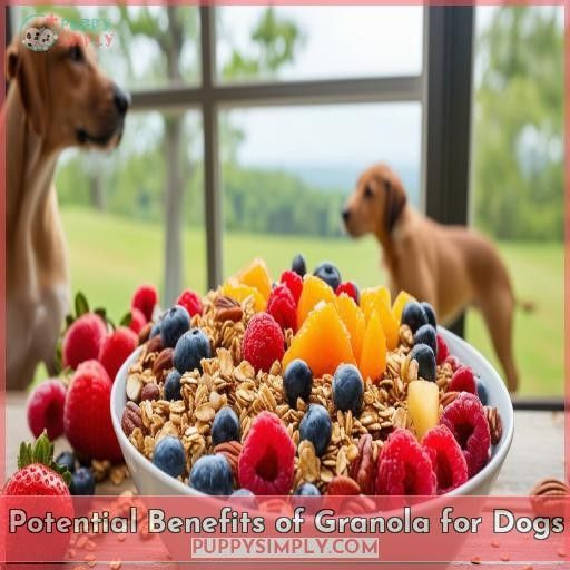 Potential Benefits of Granola for Dogs