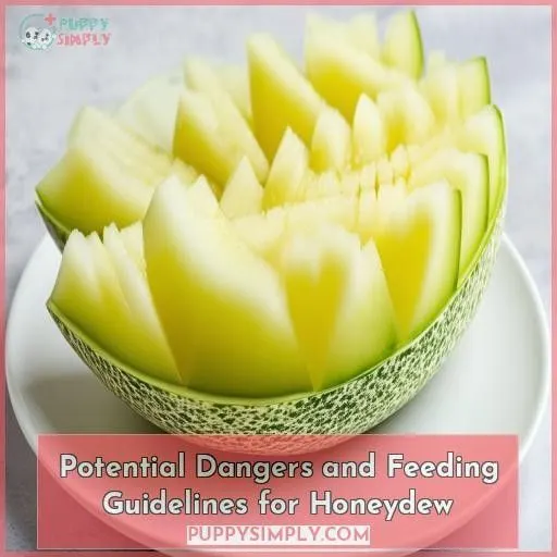 Potential Dangers and Feeding Guidelines for Honeydew