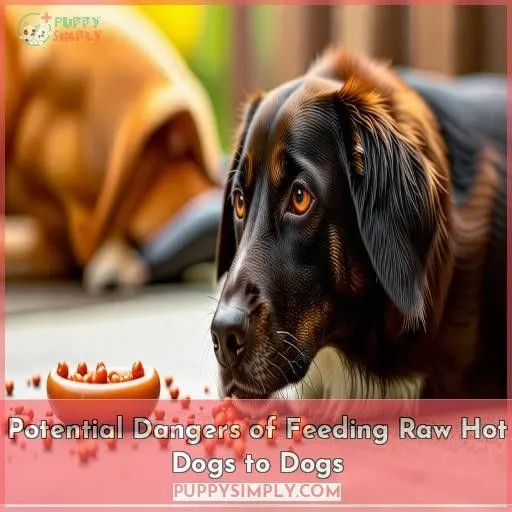 Potential Dangers of Feeding Raw Hot Dogs to Dogs