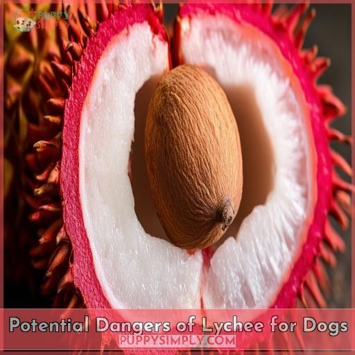 Potential Dangers of Lychee for Dogs