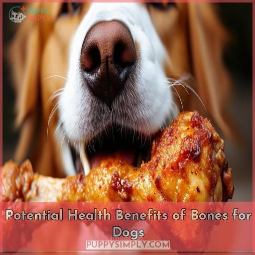 Potential Health Benefits of Bones for Dogs