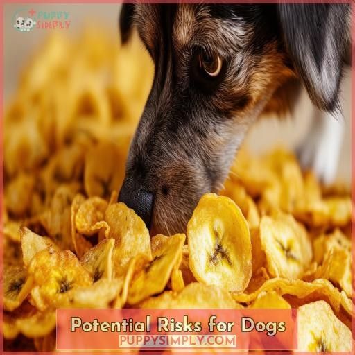 Potential Risks for Dogs