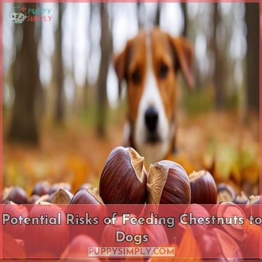 Potential Risks of Feeding Chestnuts to Dogs