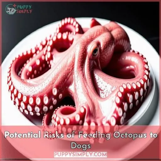 Potential Risks of Feeding Octopus to Dogs
