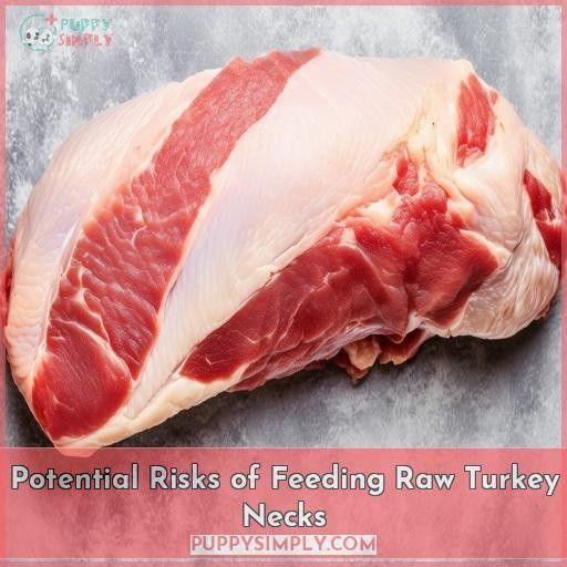 Potential Risks of Feeding Raw Turkey Necks