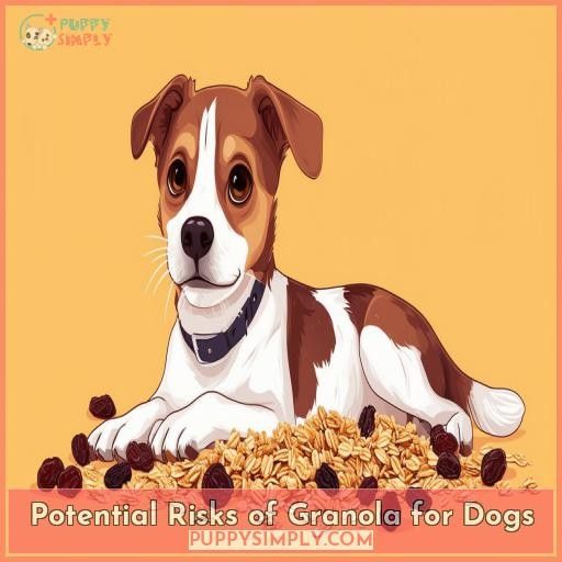 Potential Risks of Granola for Dogs