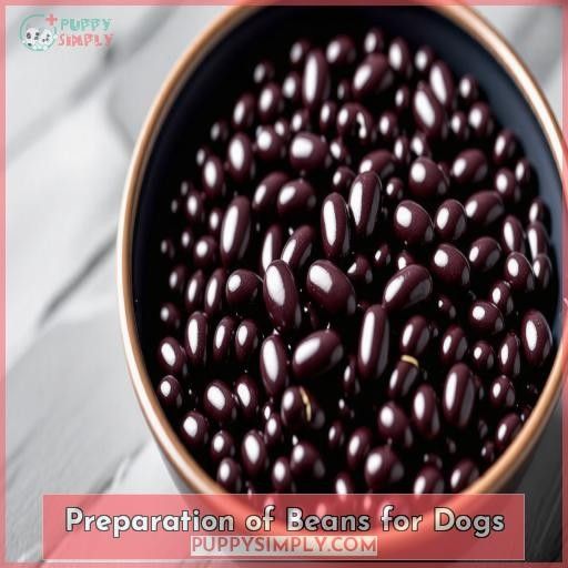 Preparation of Beans for Dogs