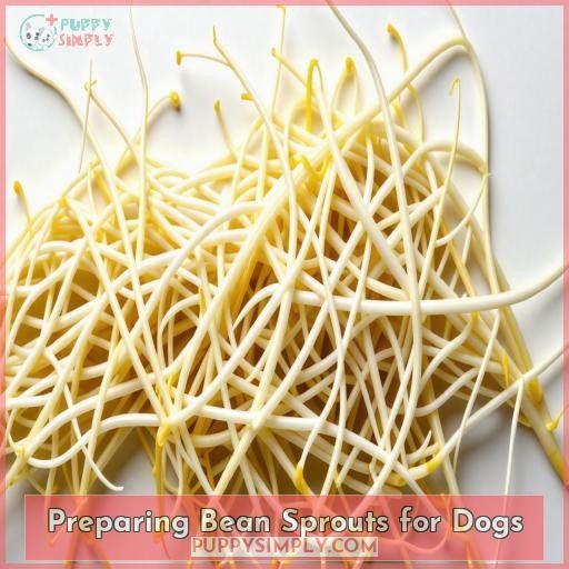 Preparing Bean Sprouts for Dogs