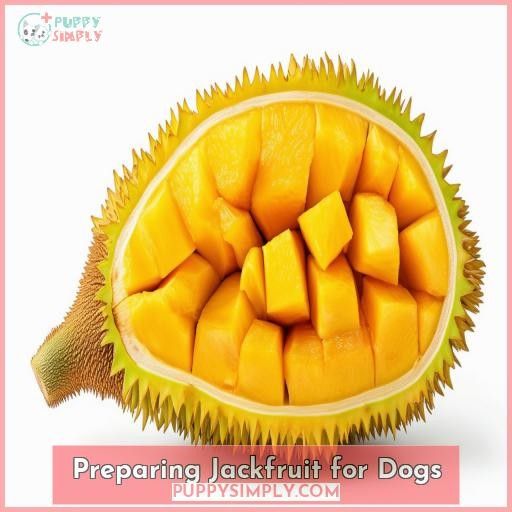 Preparing Jackfruit for Dogs