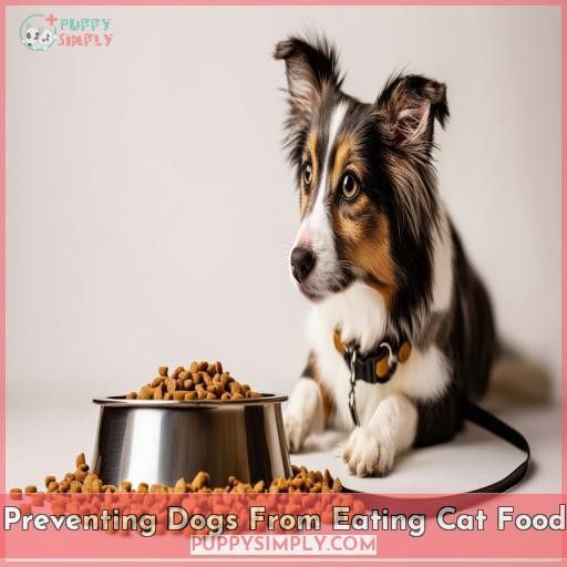 Preventing Dogs From Eating Cat Food