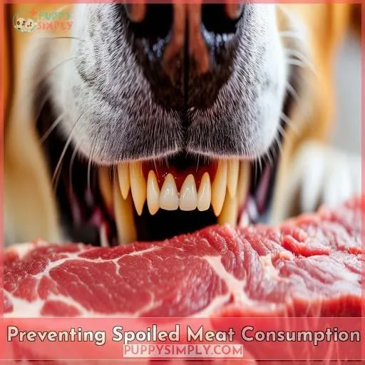 Preventing Spoiled Meat Consumption